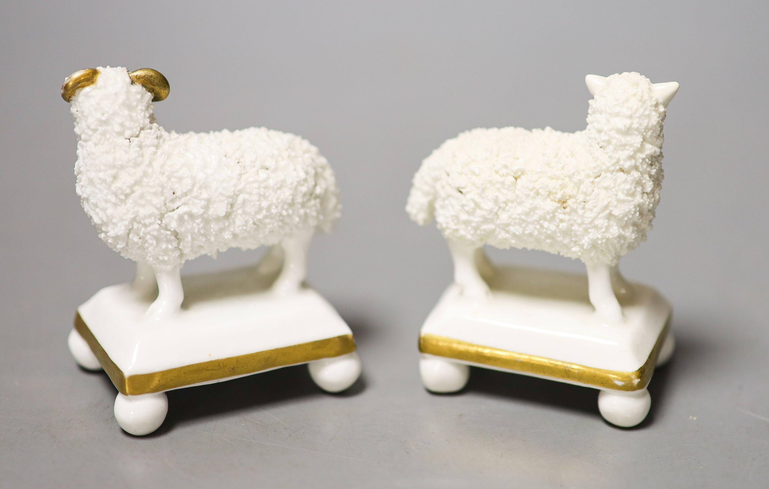 A pair of Staffordshire porcelain models of a ram and a ewe, c.1830–50, each standing on a rectangular face with four ball feet 8cm